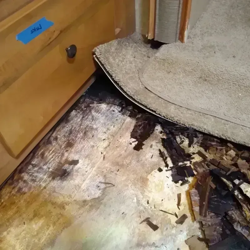 Wood Floor Water Damage in Sandoval County, NM